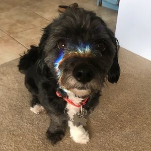 Meet your Posher, Jaclyn